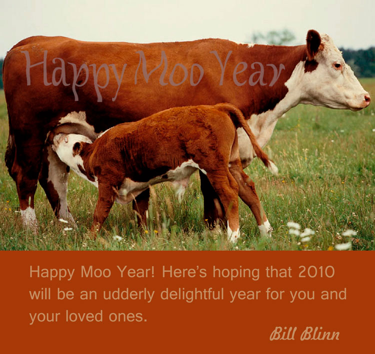 Happy Moo Year