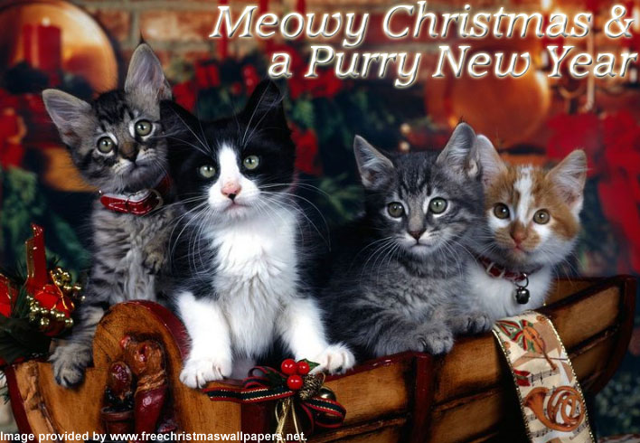 Meowy Crhistmas